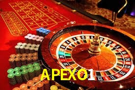 APEXO1 Indicadores de vuelo